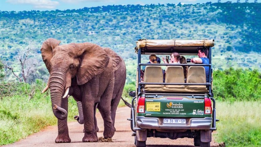 Why You Should Safari in Kruger National Park | Engoo Daily News