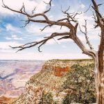 Grand Canyon (Visitor Guide, Activities & Tours) | Visit Arizona