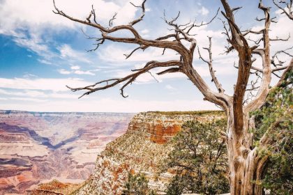 Grand Canyon (Visitor Guide, Activities & Tours) | Visit Arizona