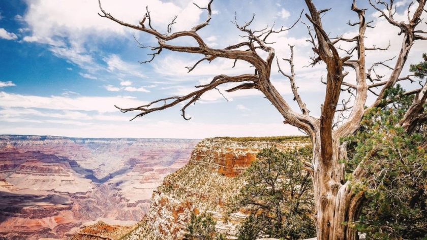 Grand Canyon (Visitor Guide, Activities & Tours) | Visit Arizona