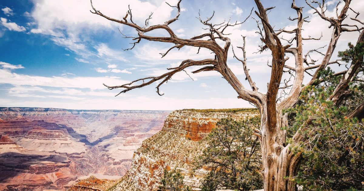 Grand Canyon (Visitor Guide, Activities & Tours) | Visit Arizona