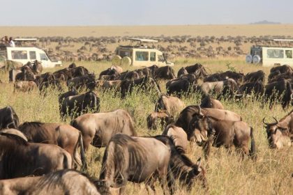 Serengeti National Park. - Safari Soles Tours